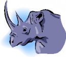 animali/rinoceronte/rinoceronte_05.jpg