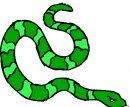 animali/serpente/serpenti_146.jpg