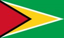 geografia/bandiere/Guyana.jpg